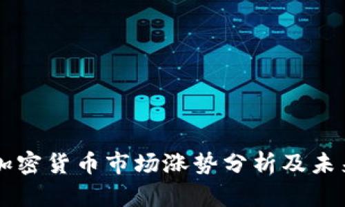 美国加密货币市场涨势分析及未来展望