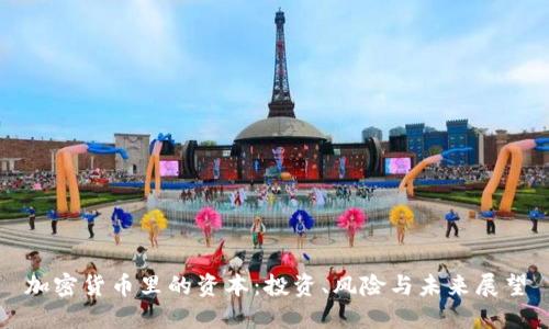 加密货币里的资本：投资、风险与未来展望