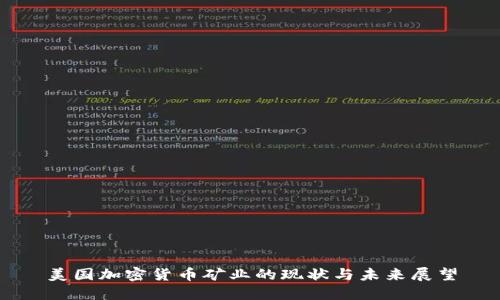 美国加密货币矿业的现状与未来展望