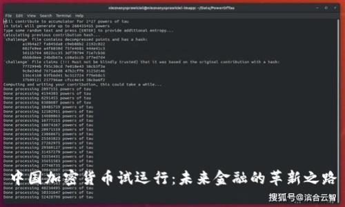 中国加密货币试运行：未来金融的革新之路