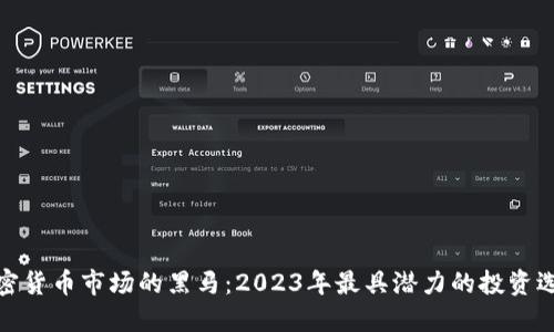 加密货币市场的黑马：2023年最具潜力的投资选项