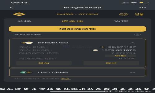 美国加密货币市场集体跳水的原因与未来趋势分析