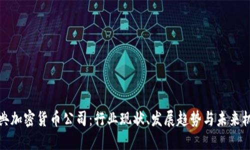 瑞典加密货币公司：行业现状、发展趋势与未来机遇