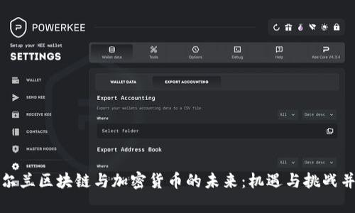 爱尔兰区块链与加密货币的未来：机遇与挑战并存