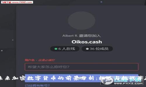 未来加密数字货币的前景分析：机遇与挑战并存