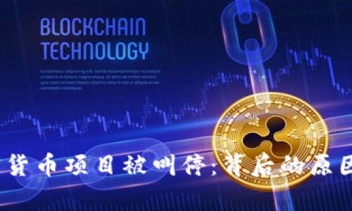 : Libra加密货币项目被叫停：背后的原因与影响分析