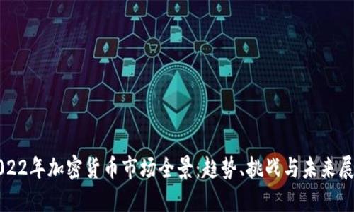 2022年加密货币市场全景：趋势、挑战与未来展望