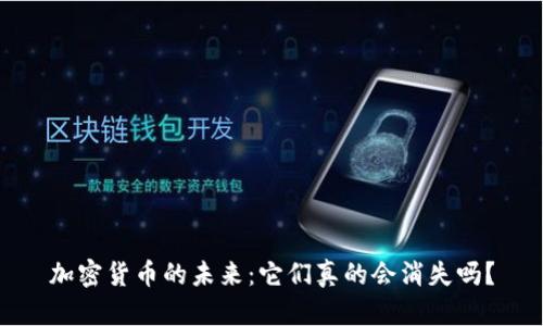 加密货币的未来：它们真的会消失吗？