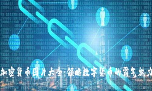 加密货币图片大全：领略数字货币的霸气魅力