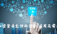 波场加密货币支付的优势、应用及前景分析