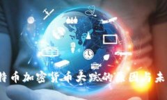 2023年比特币加密货币大跌的原因与未来趋势分析